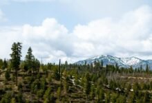 node activity identification number