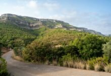 route lookup count summary