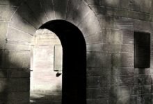 erp portal login information