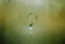 symbolism and interpretation guide