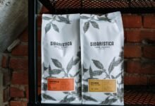 tasha jacoby araujo s biography details